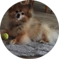 Profile photo of Anne S Donato