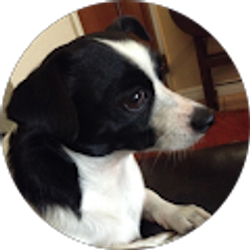 Profile photo of Jennifer Newberry