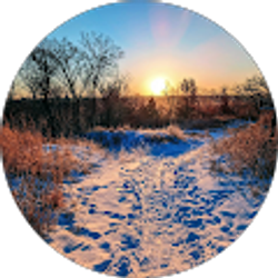 Profile photo of Lux Thunberg