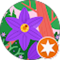 Profile photo of Terrie Stevens