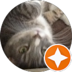 Profile photo of T-Bird Mableton