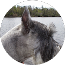 Profile photo of Cathy Boggs