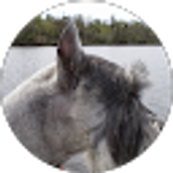 Profile photo of Cathy Boggs
