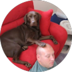 Profile photo of Mark IyamWhoIyam