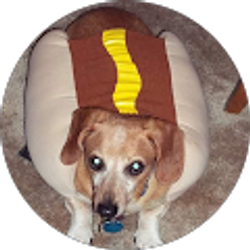 Profile photo of Susan Sievers