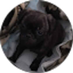 Profile photo of Holly Ettinger