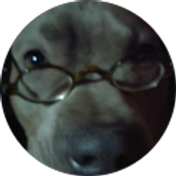 Profile photo of jack ball