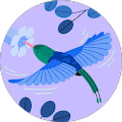 Profile photo of Shelly Martin