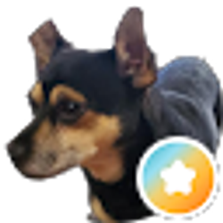 Profile photo of Kevin G.