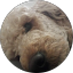 Profile photo of David Schulfer