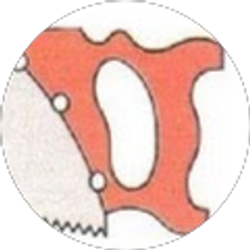 Profile photo of Kathleen Dahlstrand