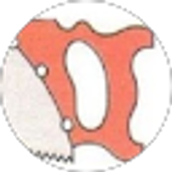 Profile photo of Kathleen Dahlstrand