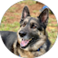 Profile photo of R Retoma