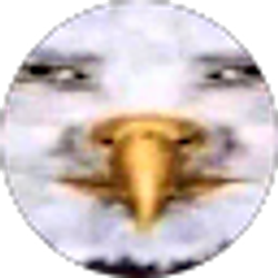 Profile photo of Tristan Delgado