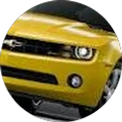 Profile photo of dylan schauer