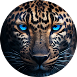 Profile photo of Kitty Katty