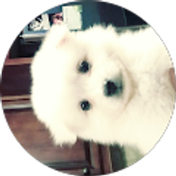 Profile photo of Addison Blair