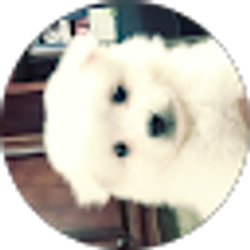 Profile photo of Addison Blair
