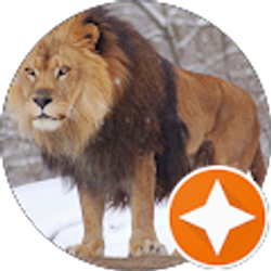 Profile photo of Adam Darby