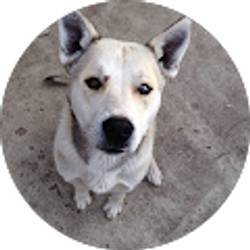 Profile photo of James Bailey