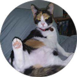 Profile photo of Andrew Biskupski