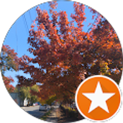 Profile photo of J. Solo