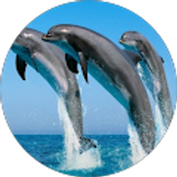 Profile photo of RAMIRO RODRIGUEZ