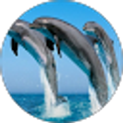 Profile photo of RAMIRO RODRIGUEZ