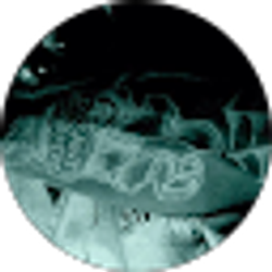 Profile photo of Reid Murphy