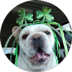 Profile photo of George Benedict