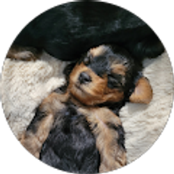 Profile photo of Eric Nobles