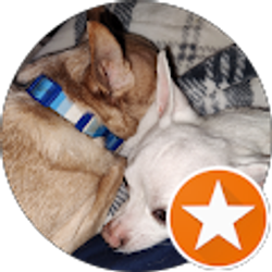 Profile photo of E NEAL