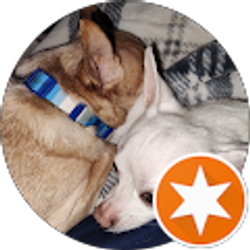 Profile photo of E NEAL