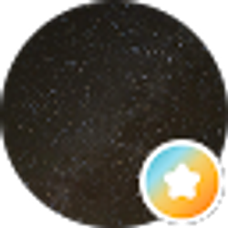 Profile photo of Brandon E.