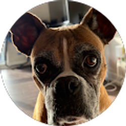 Profile photo of Morgan Stickley