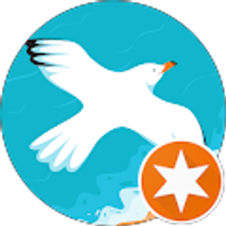 Profile photo of Beverly DeLorenzo