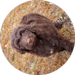 Profile photo of Jill Ussery