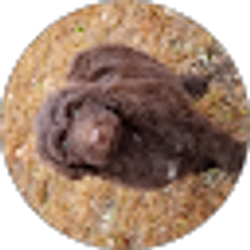 Profile photo of Jill Ussery