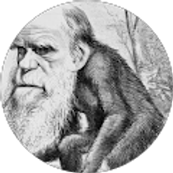 Profile photo of Samantha Harris