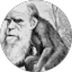 Profile photo of Samantha Harris