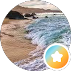 Profile photo of N VON