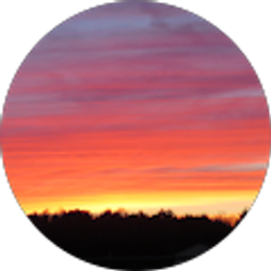 Profile photo of Michelle Burns