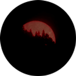 Profile photo of Andy