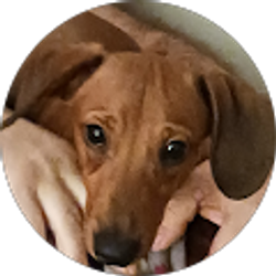 Profile photo of Carleen Lucas