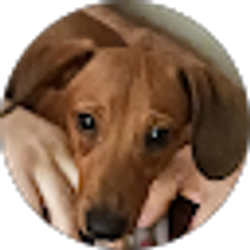 Profile photo of Carleen Lucas