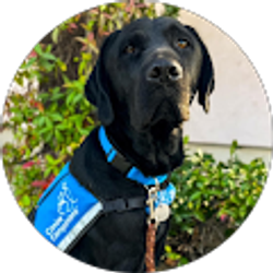 Profile photo of Laurel Prudhomme