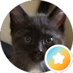 Profile photo of Maggie