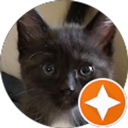 Profile photo of Maggie