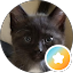 Profile photo of Maggie