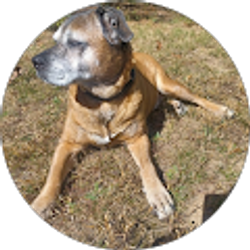 Profile photo of john Inman